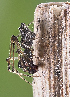  ( - BIOUG46673-F04)  @11 [ ] CC0 (2021) Unspecified Unspecified