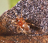  ( - BIOUG46677-C04)  @11 [ ] CC0 (2021) Unspecified Unspecified