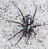  ( - BIOUG73611-B09)  @11 [ ] CC0 (2023) Unspecified Unspecified