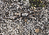  ( - BIOUG50817-C04)  @11 [ ] CC0 (2021) Unspecified Unspecified