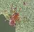  ( - BIOUG46677-D08)  @11 [ ] CC0 (2021) Unspecified Unspecified
