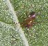  ( - BIOUG46677-D09)  @11 [ ] CC0 (2021) Unspecified Unspecified