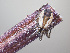  ( - BIOUG46671-C10)  @11 [ ] CC0 (2021) Unspecified Unspecified