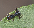  ( - BIOUG46672-A04)  @11 [ ] CC-0 (2019) Unspecified Unspecified