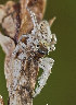  ( - BIOUG46673-E05)  @11 [ ] CC0 (2020) Unspecified Unspecified
