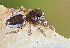  ( - BIOUG73611-E01)  @11 [ ] CC0 (2024) Unspecified Unspecified