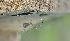  ( - BIOUG59301-B04)  @11 [ ] CC0 (2022) Unspecified Unspecified