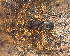  ( - BIOUG59302-A11)  @11 [ ] CC0 (2022) Unspecified Unspecified