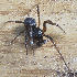  ( - BIOUG46369-B08)  @11 [ ] CC-0 (2019) Unspecified Unspecified