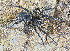  ( - BIOUG75006-F03)  @11 [ ] CC0 (2024) Unspecified Unspecified