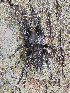  ( - BIOUG55207-B07)  @11 [ ] CC0 (2021) Unspecified Unspecified