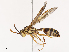  ( - CBG-B00489-A02)  @11 [ ] CreativeCommons - Attribution Share - Alike (2025) CBG Photography Group Centre for Biodiversity Genomics
