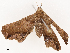  ( - CBG-B00488-C10)  @11 [ ] CreativeCommons - Attribution Share - Alike (2025) CBG Photography Group Centre for Biodiversity Genomics