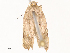  ( - CBG-B00488-G05)  @11 [ ] CreativeCommons - Attribution Share - Alike (2025) CBG Photography Group Centre for Biodiversity Genomics