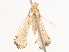  ( - CBG-B00488-H05)  @11 [ ] CreativeCommons - Attribution Share - Alike (2025) CBG Photography Group Centre for Biodiversity Genomics