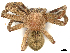  ( - CBG-B00490-H06)  @11 [ ] CreativeCommons - Attribution Share - Alike (2025) CBG Photography Group Centre for Biodiversity Genomics