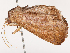  ( - CBG-B00500-A03)  @11 [ ] CreativeCommons - Attribution Share - Alike (2025) CBG Photography Group Centre for Biodiversity Genomics