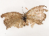  ( - CBG-B00505-A07)  @11 [ ] CreativeCommons - Attribution Share - Alike (2025) CBG Photography Group Centre for Biodiversity Genomics