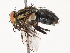  ( - CBG-B00509-C12)  @11 [ ] CreativeCommons - Attribution Share - Alike (2025) CBG Photography Group Centre for Biodiversity Genomics
