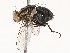  ( - CBG-B00509-E07)  @11 [ ] CreativeCommons - Attribution Share - Alike (2025) CBG Photography Group Centre for Biodiversity Genomics