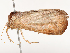  ( - CBG-B00886-B07)  @11 [ ] CreativeCommons - Attribution Share - Alike (2025) CBG Photography Group Centre for Biodiversity Genomics