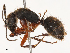  ( - CBG-B00887-F11)  @11 [ ] CreativeCommons - Attribution Share - Alike (2025) CBG Photography Group Centre for Biodiversity Genomics