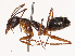  ( - CBG-B00890-A07)  @11 [ ] CreativeCommons - Attribution Share - Alike (2025) CBG Photography Group Centre for Biodiversity Genomics