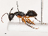  ( - CBG-B01006-A04)  @11 [ ] CreativeCommons - Attribution Share - Alike (2025) CBG Photography Group Centre for Biodiversity Genomics