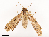 ( - CBG-B02345-B08)  @11 [ ] CreativeCommons - Attribution Share - Alike (2025) CBG Photography Group Centre for Biodiversity Genomics