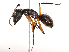  ( - CBG-B02477-A08)  @11 [ ] CreativeCommons - Attribution Share - Alike (2025) CBG Photography Group Centre for Biodiversity Genomics