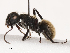  ( - CBG-B02477-A12)  @11 [ ] CreativeCommons - Attribution Share - Alike (2025) CBG Photography Group Centre for Biodiversity Genomics