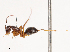  ( - CBG-B02477-B02)  @11 [ ] CreativeCommons - Attribution Share - Alike (2025) CBG Photography Group Centre for Biodiversity Genomics