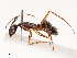 ( - CBG-B00899-H08)  @11 [ ] CreativeCommons - Attribution Share - Alike (2025) CBG Photography Group Centre for Biodiversity Genomics