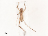  ( - CBG-B00899-H09)  @11 [ ] CreativeCommons - Attribution Share - Alike (2025) CBG Photography Group Centre for Biodiversity Genomics