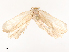  ( - CBG-B00904-E06)  @11 [ ] CreativeCommons - Attribution Share - Alike (2025) CBG Photography Group Centre for Biodiversity Genomics