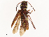  ( - CBG-B01004-E06)  @11 [ ] CreativeCommons - Attribution Share - Alike (2025) CBG Photography Group Centre for Biodiversity Genomics