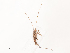  ( - CBG-B01169-H08)  @11 [ ] CreativeCommons - Attribution Share - Alike (2025) CBG Photography Group Centre for Biodiversity Genomics