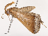  ( - CBG-B01174-A01)  @11 [ ] CreativeCommons - Attribution Share - Alike (2025) CBG Photography Group Centre for Biodiversity Genomics