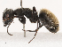 ( - CBG-B02340-G04)  @11 [ ] CreativeCommons - Attribution Share - Alike (2025) CBG Photography Group Centre for Biodiversity Genomics