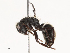  ( - CBG-B02488-H10)  @11 [ ] CreativeCommons - Attribution Share - Alike (2025) CBG Photography Group Centre for Biodiversity Genomics