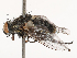  ( - CBG-B02492-B10)  @11 [ ] CreativeCommons - Attribution Share - Alike (2025) CBG Photography Group Centre for Biodiversity Genomics