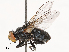  ( - CBG-B02492-C03)  @11 [ ] CreativeCommons - Attribution Share - Alike (2025) CBG Photography Group Centre for Biodiversity Genomics