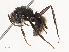  ( - CBG-B02493-B07)  @11 [ ] CreativeCommons - Attribution Share - Alike (2025) CBG Photography Group Centre for Biodiversity Genomics
