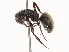  ( - CBG-B02493-E12)  @11 [ ] CreativeCommons - Attribution Share - Alike (2025) CBG Photography Group Centre for Biodiversity Genomics