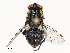  ( - CBG-B04128-C07)  @11 [ ] CreativeCommons - Attribution Share - Alike (2025) CBG Photography Group Centre for Biodiversity Genomics