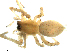  ( - CCDB-08823-B10)  @12 [ ] CC-0  Gergin Blagoev, Centre for Biodiversity Genomics Unspecified