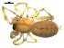  ( - CCDB-08823-D03)  @13 [ ] CC-0  Gergin Blagoev, Centre for Biodiversity Genomics Unspecified