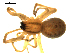  ( - CCDB-08823-D11)  @12 [ ] CC-0  Gergin Blagoev, Centre for Biodiversity Genomics Unspecified