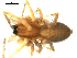  ( - CCDB-08823-E04)  @12 [ ] CC-0  Gergin Blagoev, Centre for Biodiversity Genomics Unspecified