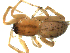  ( - CCDB-08823-E05)  @12 [ ] CC-0  Gergin Blagoev, Centre for Biodiversity Genomics Unspecified